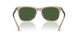 620171 - Brown - Bottle Green