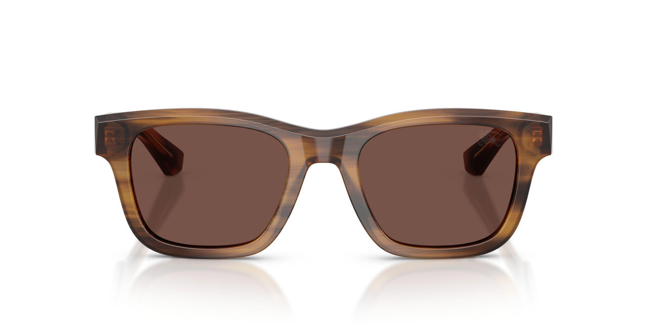 425373 - Tortoise - Black Chocolate