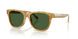 618571 - Tortoise - Bottle Green
