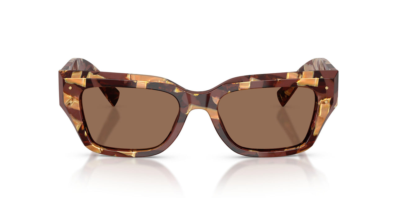 346273 - Brown - Dark Brown