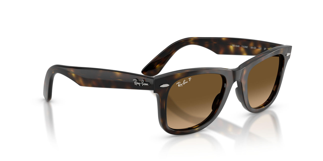 710/M2 - Tortoise - Polarized Brown Gradient