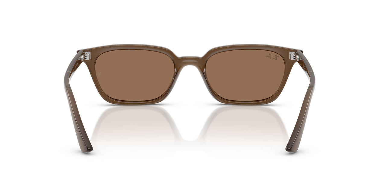 677973 - Brown - Dark Brown