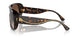 702/13 - Tortoise - Gradient Brown