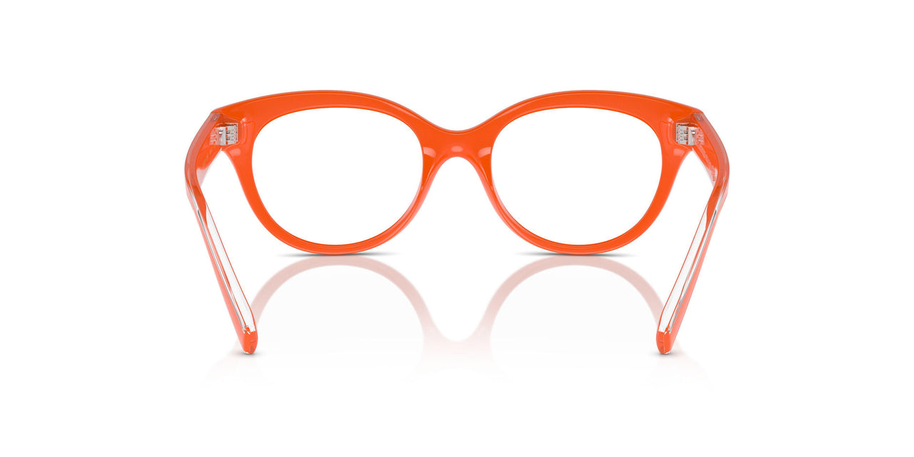 3338 - Orange