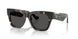 410687 - Tortoise - Dark Grey