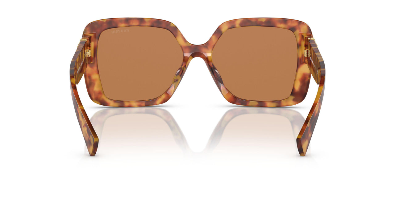 4BW2Z1 - Tortoise - Brown