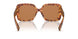 4BW2Z1 - Tortoise - Brown