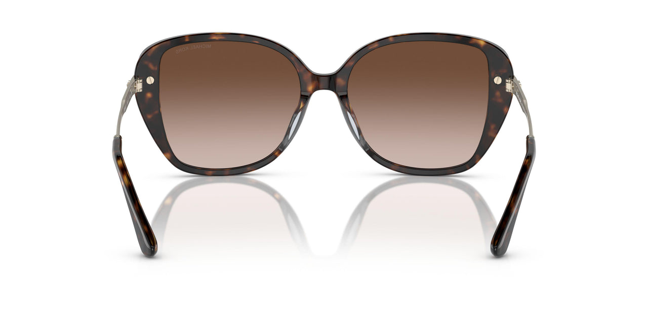 300613 - Tortoise - Brown Gradient