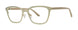 MTTVRGLDBG - Matte Ivory/Gold/Beige