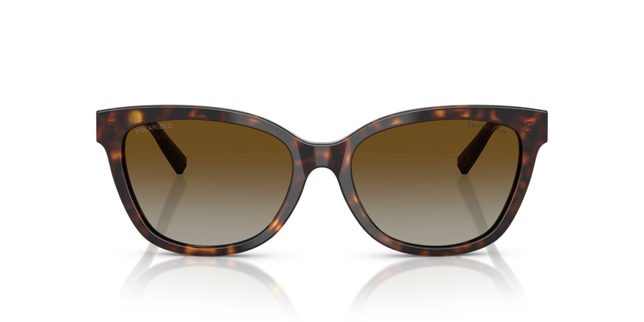 8015T5 - Tortoise - Polar Brown Gradient