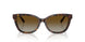 8015T5 - Tortoise - Polar Brown Gradient