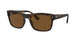 894/57 - Tortoise - Brown