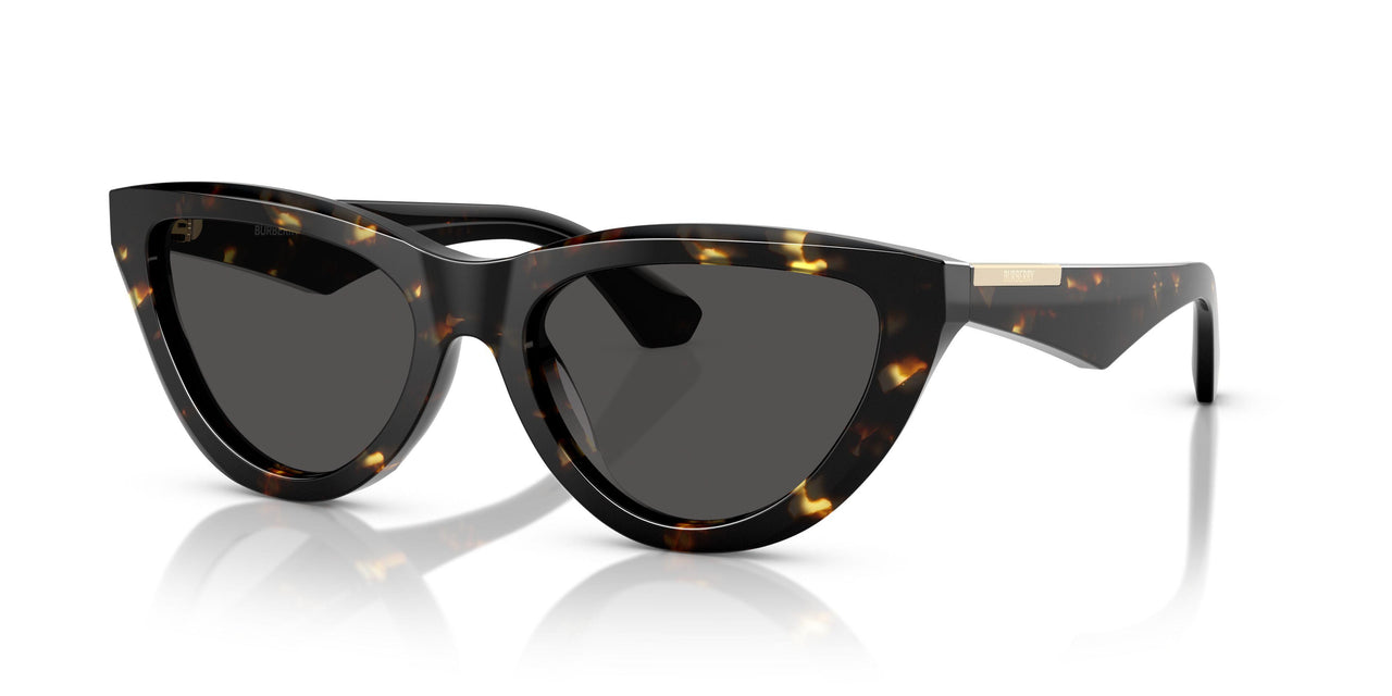 410687 - Tortoise - Dark Grey
