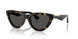 410687 - Tortoise - Dark Grey