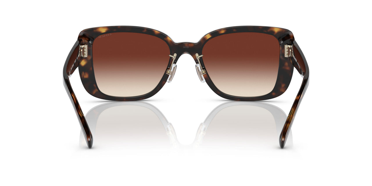 512013 - Havana - Dark Brown Gradient