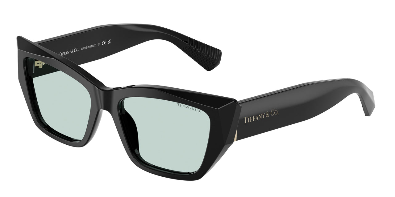 Tiffany 4230F Sunglasses