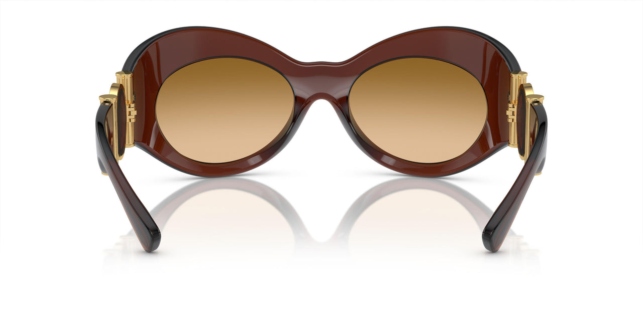 54462L - Brown - Yellow Gradient Brown