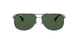 004/58 - Gunmetal - Crystal Green Polarized
