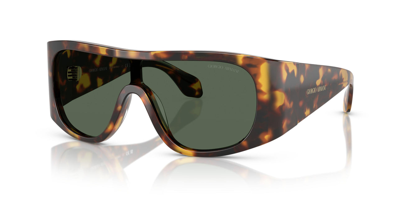 509271 - Tortoise - Dark Green