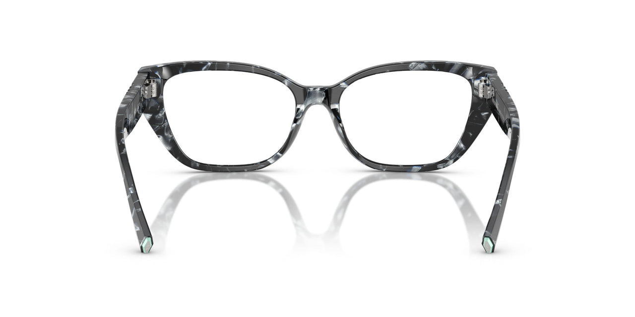 8428 - Tortoise