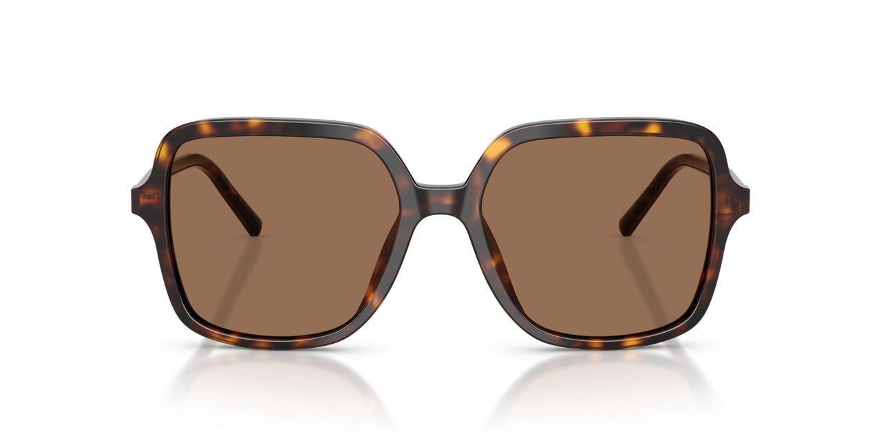 502/73 - Tortoise - Dark Brown