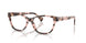 6058 - Tortoise