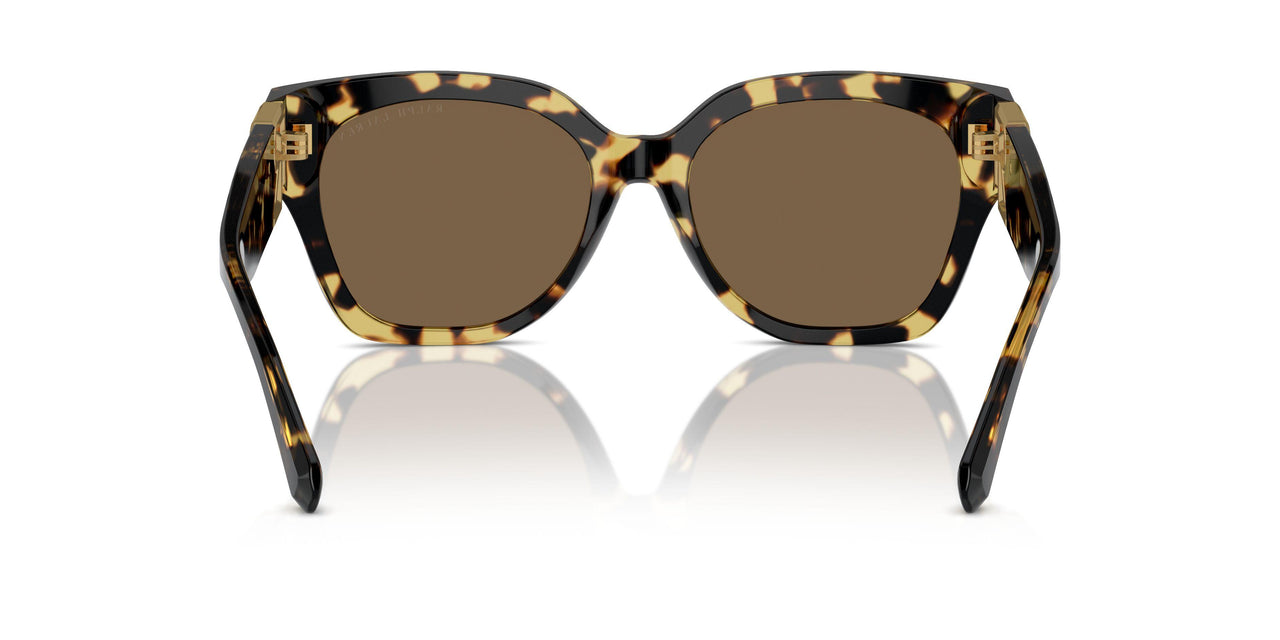 500473 - Brown - Brown