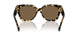 500473 - Brown - Brown