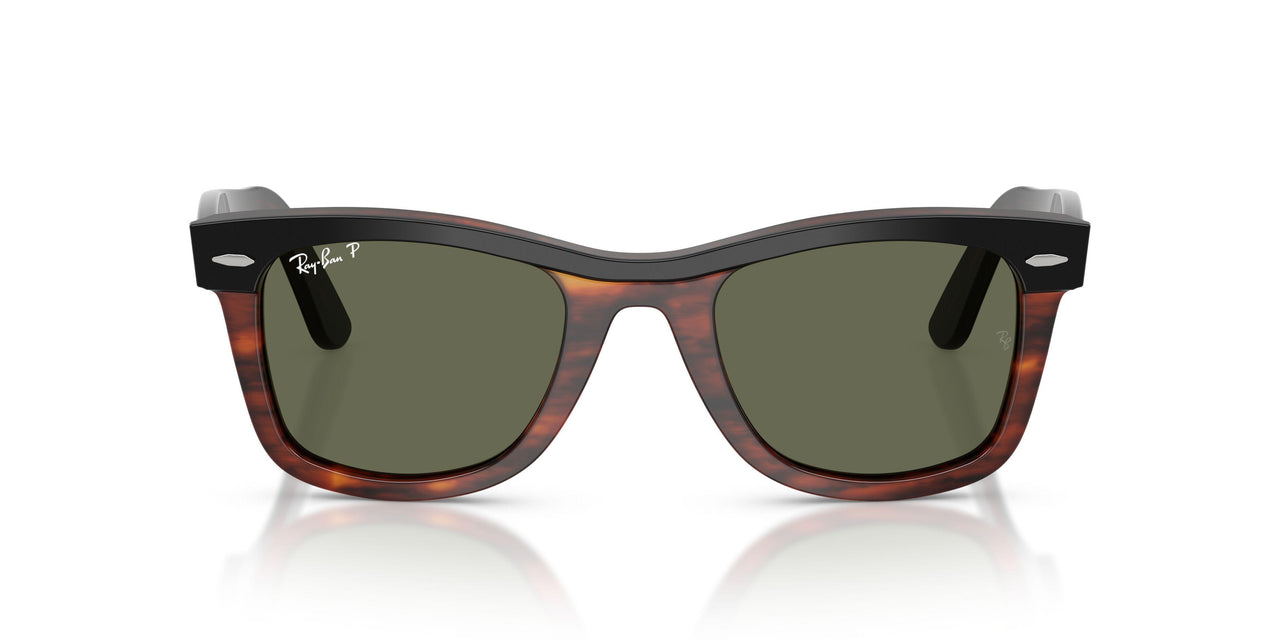 144058 - Black - Polarized Green