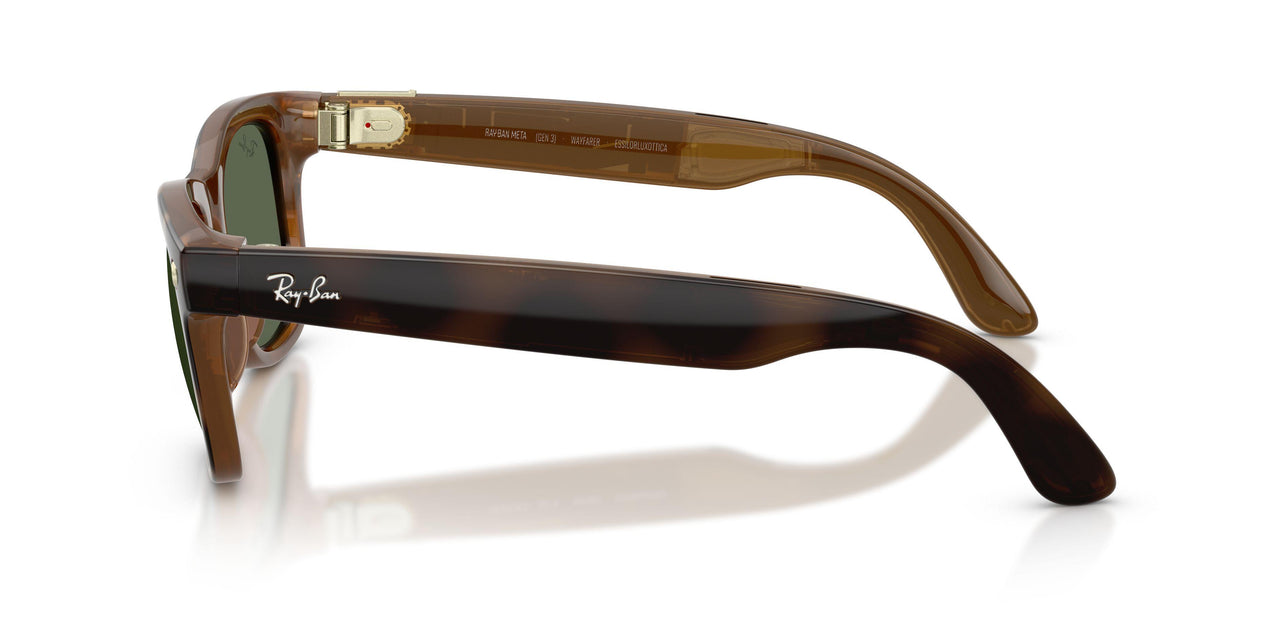 690571 - Tortoise - G-15 Green