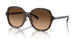 512074 - Tortoise - Brown Gradient