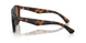 353673 - Tortoise - Dark Brown
