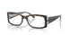 8401 - Tortoise - Clear