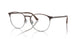3172 - Tortoise - Clear