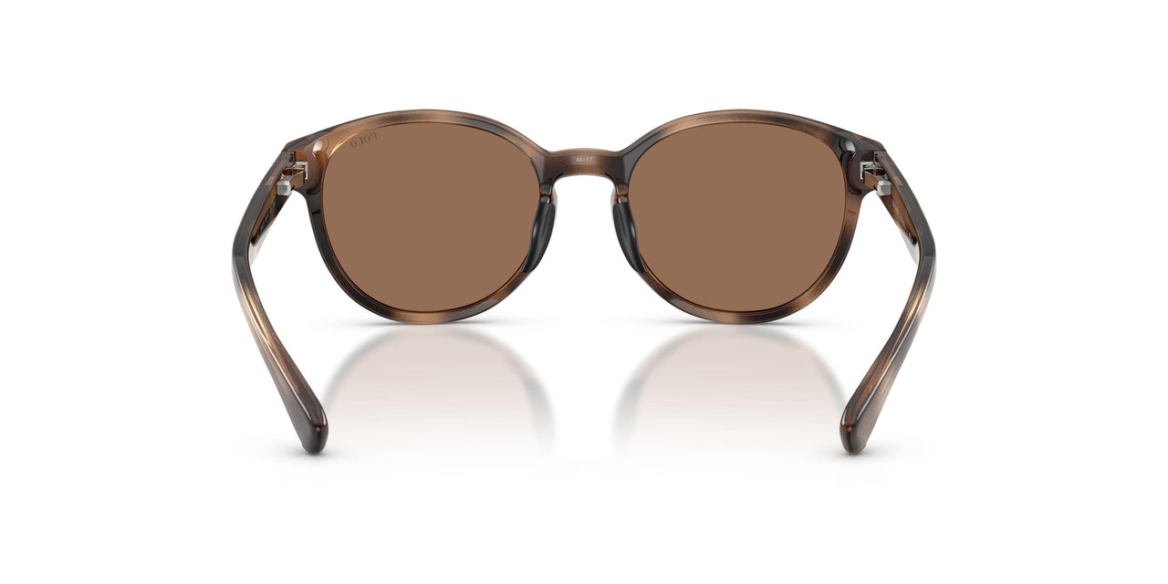 597473 - Tortoise - Dark Brown