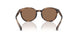 597473 - Tortoise - Dark Brown