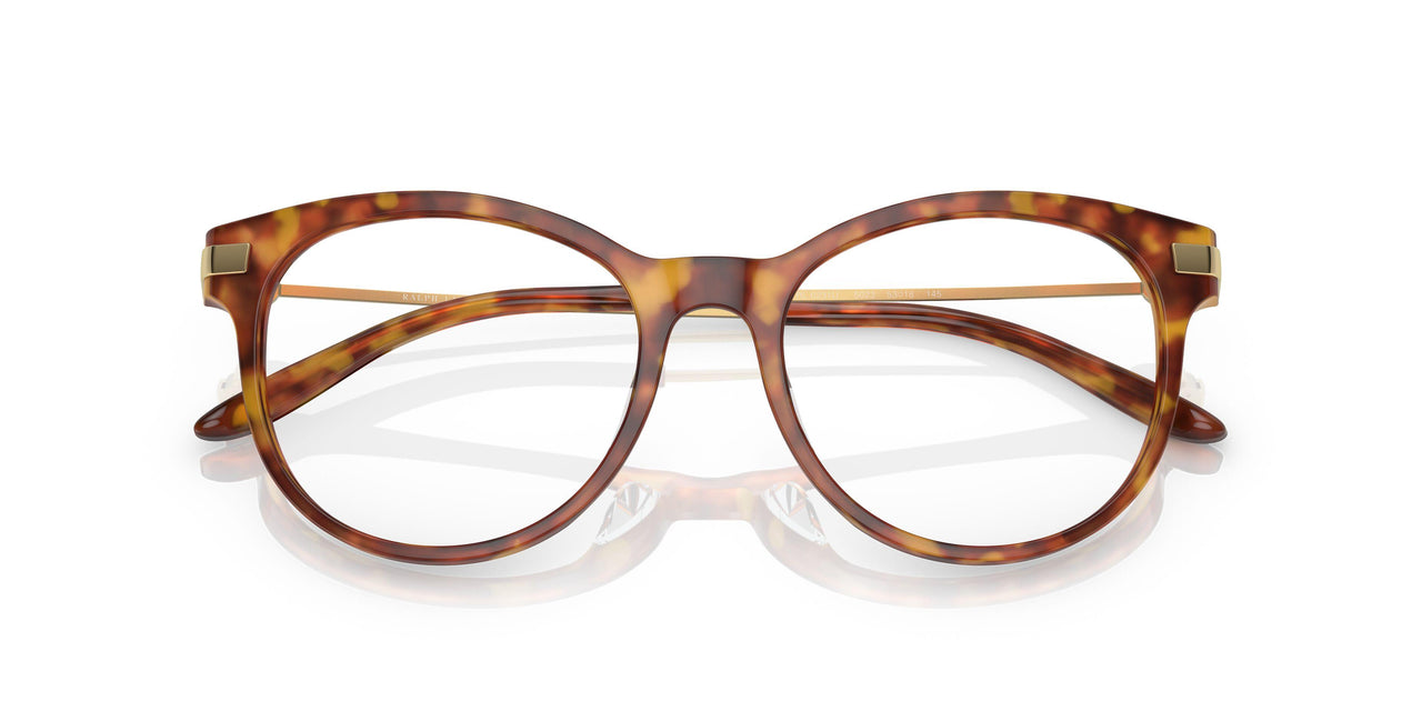 5023 - Tortoise