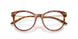5023 - Tortoise