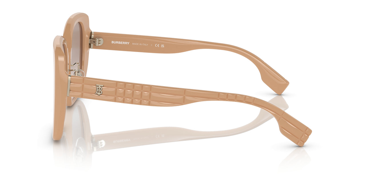 399013 - Brown - Brown Gradient