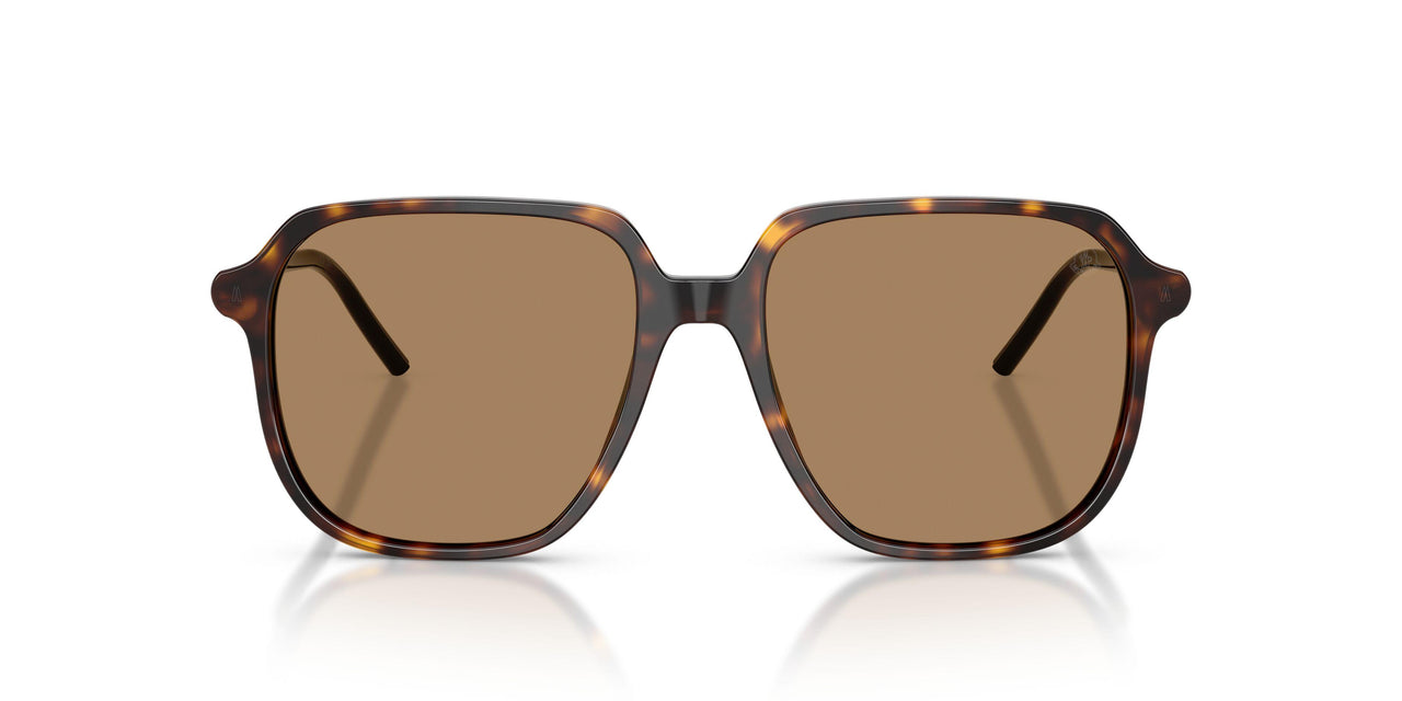 3002M4 - Tortoise - Brown Solid