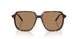 3002M4 - Tortoise - Brown Solid