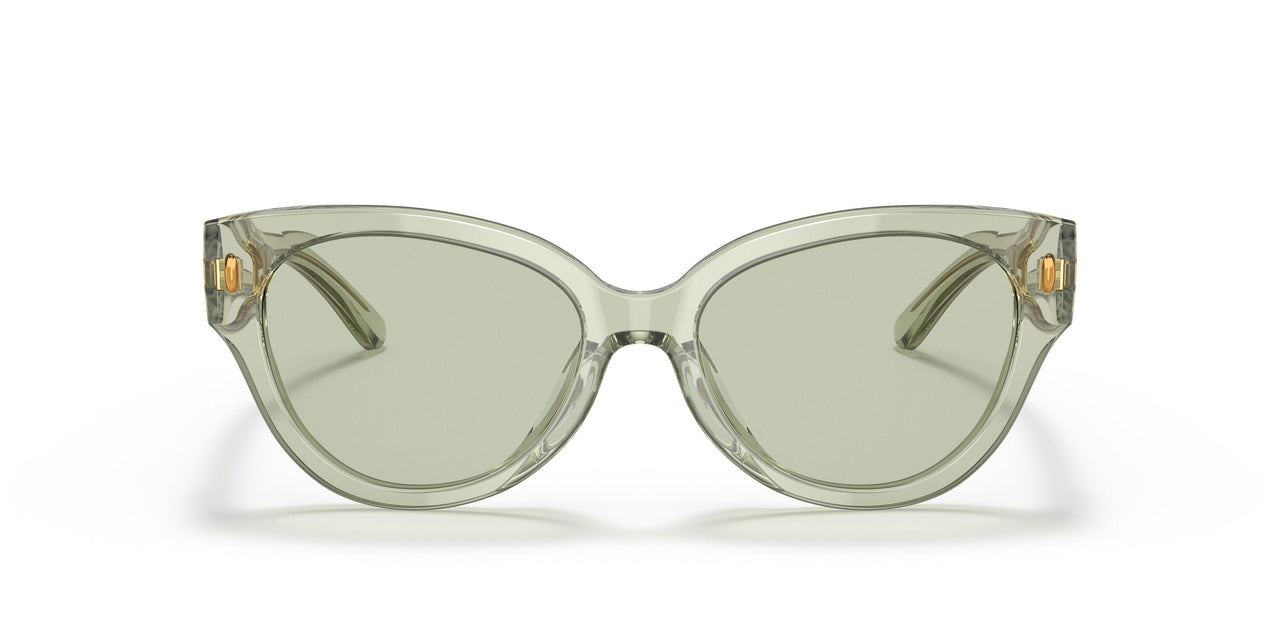 1886/2 - Green - Mint Green Solid