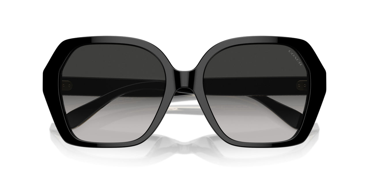 50023C - Black - Grey Gradient