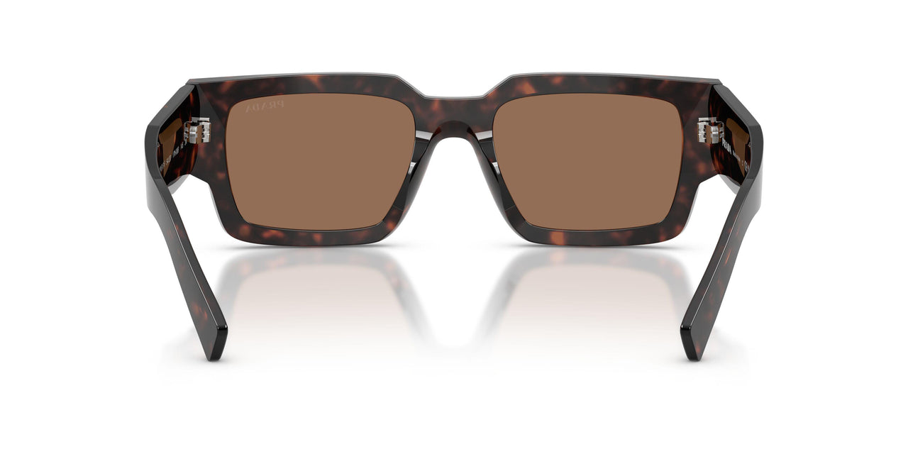 17N06B - Tortoise - Dark Brown