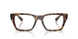 8460 - Tortoise - Clear