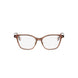 047 - Shiny Brown - DEMO