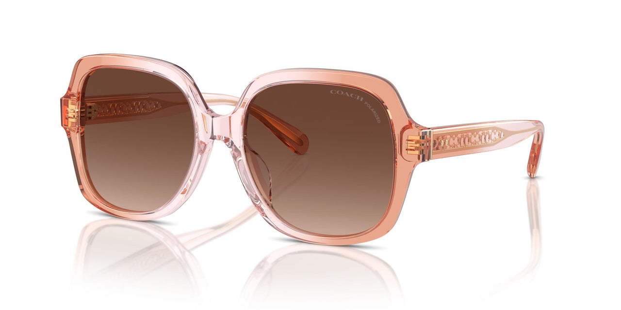 5812T5 - Brown - Brown Gradient Polarized
