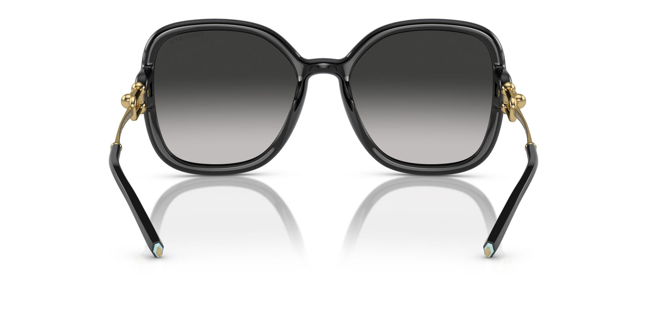 80013C - Black - Grey Gradient