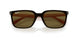 003/73 - Silver - Dark Brown