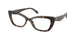 1964 - Tortoise
